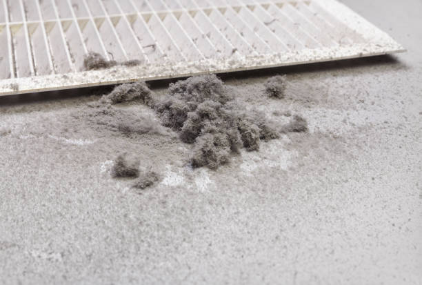 Best Air Duct Cleaning Company Near Me  in Marine, IL