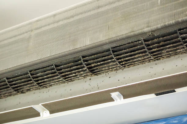 Best Ductwork Cleaning Services  in Marine, IL