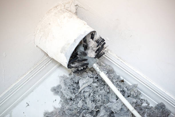 Best Affordable Air Duct Cleaning  in Marine, IL